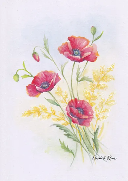 Coquelicots
