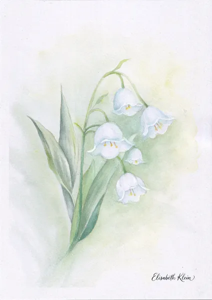 Muguet