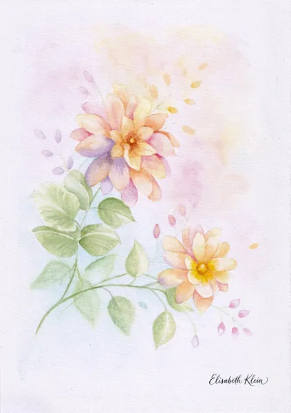 Dahlias