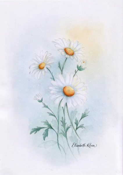 Marguerites