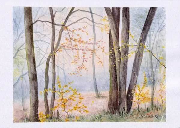 Sous-bois