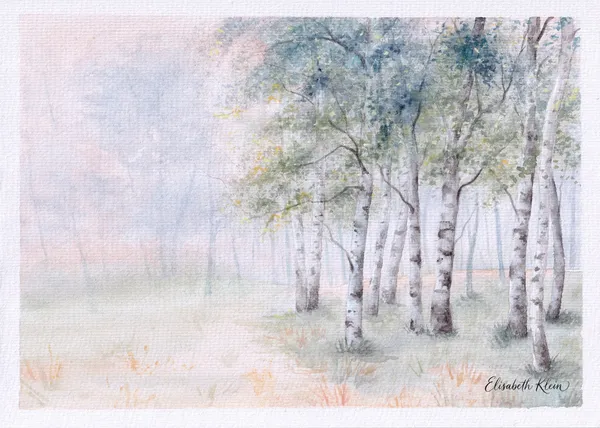 Bouleaux