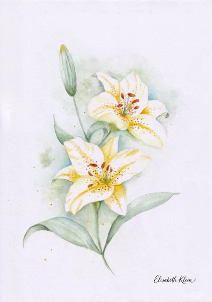 Lys