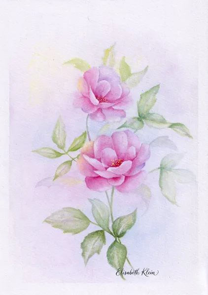 Roses